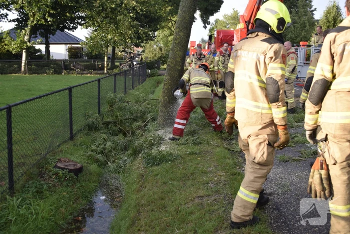 Brandweer voorkomt vallende boom