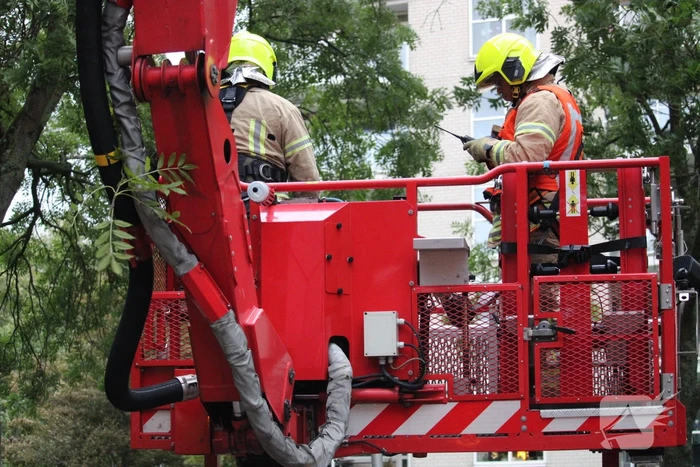 Brandweer zaagt boom met hoogwerker in stukken