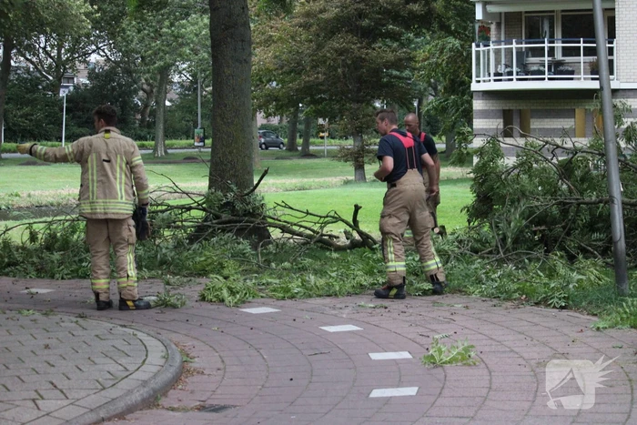 Brandweer zaagt boom met hoogwerker in stukken