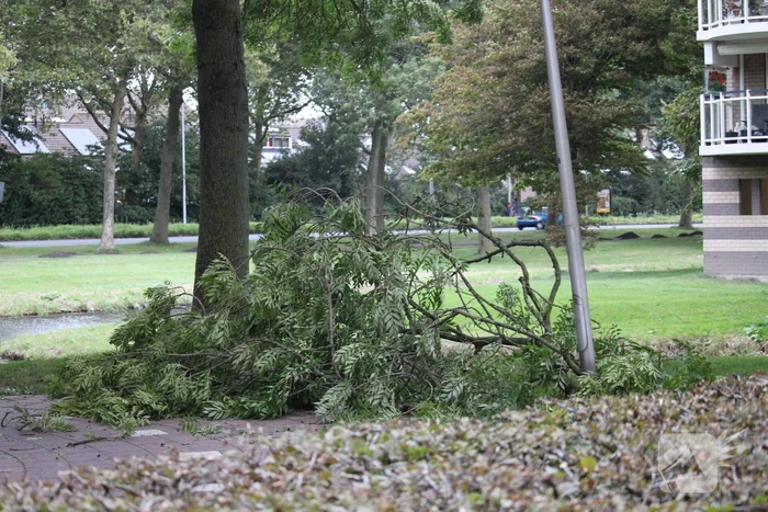 Brandweer zaagt boom met hoogwerker in stukken