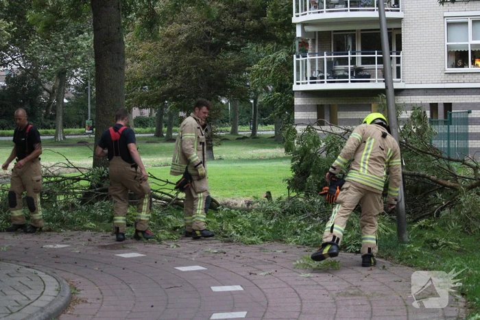 Brandweer zaagt boom met hoogwerker in stukken