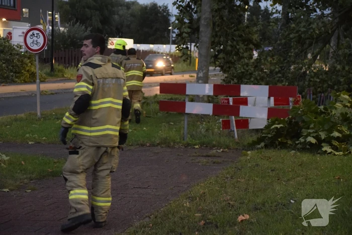 Boom omgekapt wegens stormschade