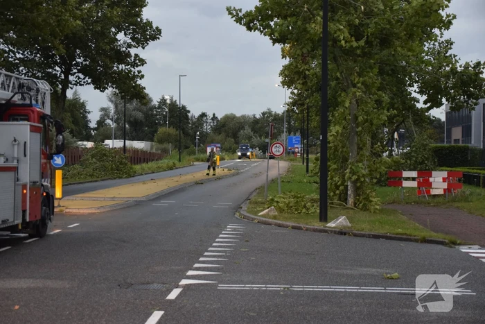 Boom omgekapt wegens stormschade