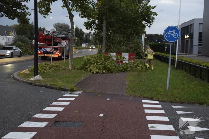 natuur voorpoort veenendaal