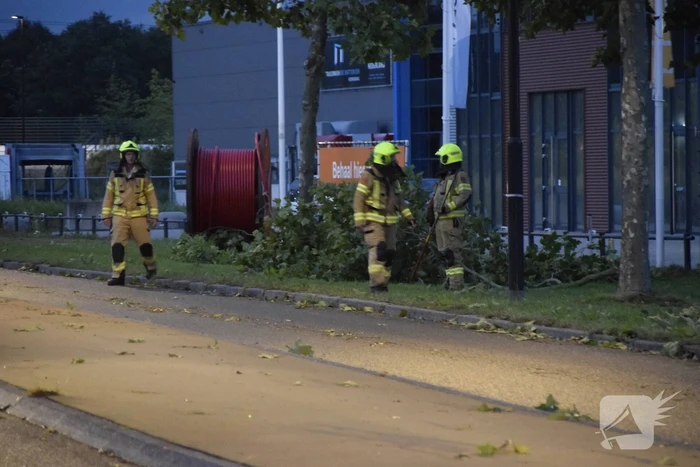 Boom omgekapt wegens stormschade