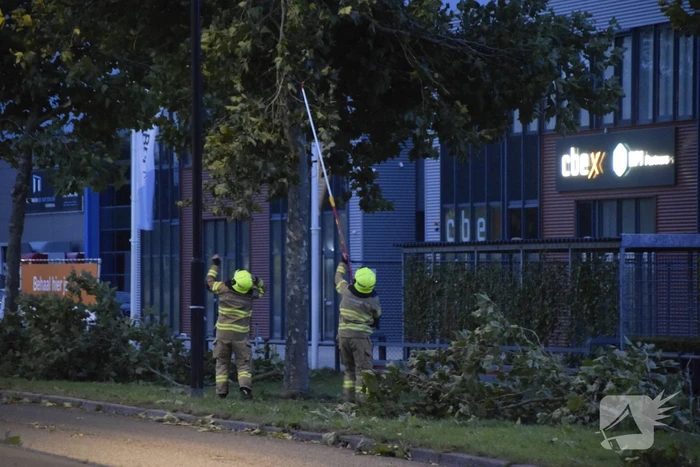 Boom omgekapt wegens stormschade
