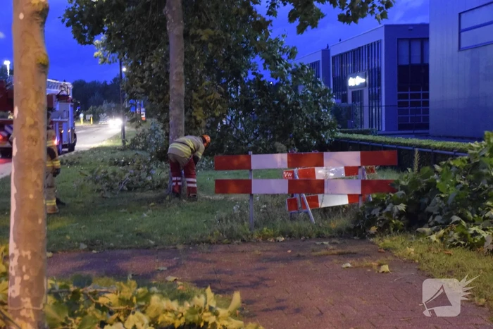 Boom omgekapt wegens stormschade