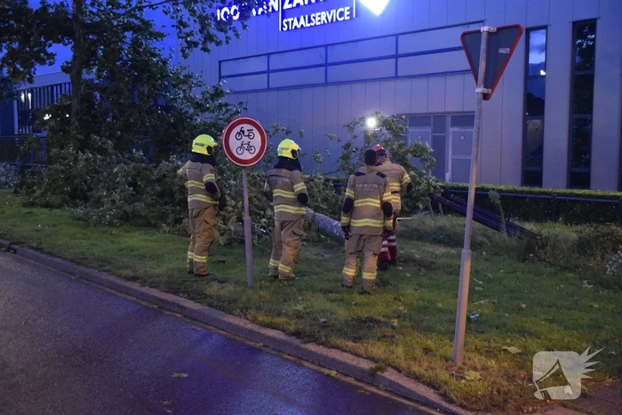 Boom omgekapt wegens stormschade