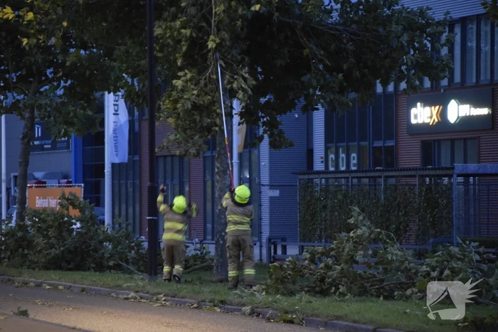 Boom omgekapt wegens stormschade