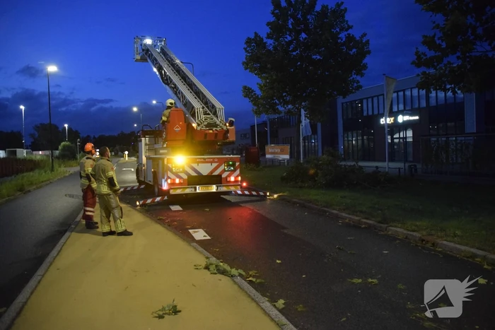 Boom omgekapt wegens stormschade