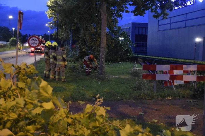 Boom omgekapt wegens stormschade