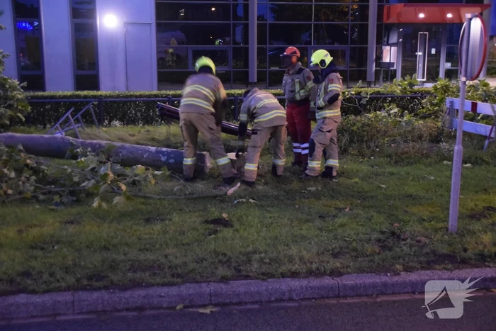 Boom omgekapt wegens stormschade