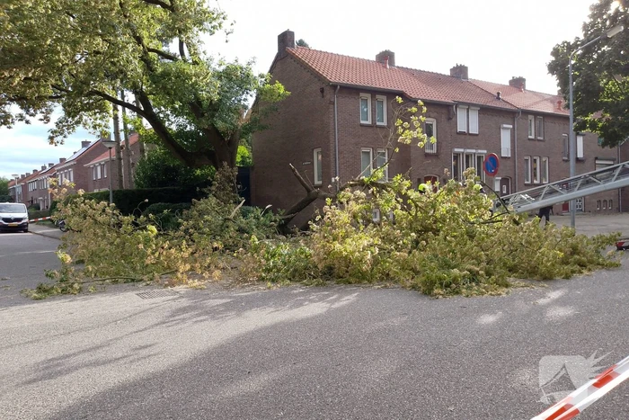 natuur regentesselaan weert