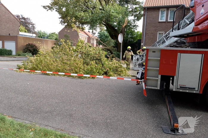 Grote tak van boom afgebroken door harde wind