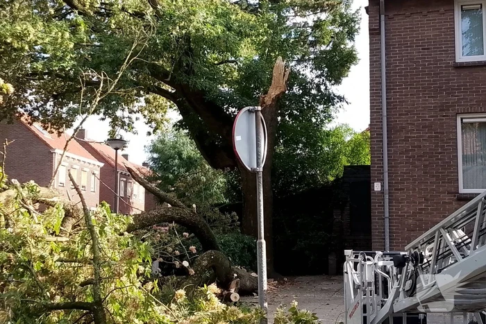 Grote tak van boom afgebroken door harde wind