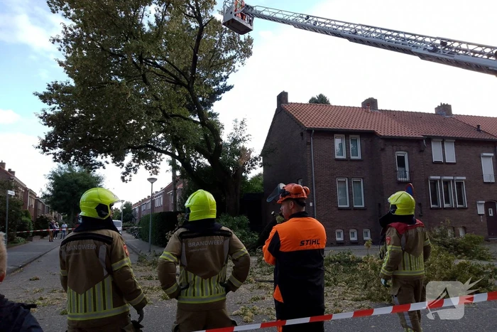 Grote tak van boom afgebroken door harde wind