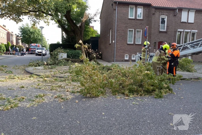 Grote tak van boom afgebroken door harde wind