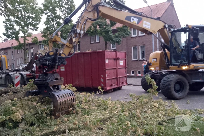 Grote tak van boom afgebroken door harde wind
