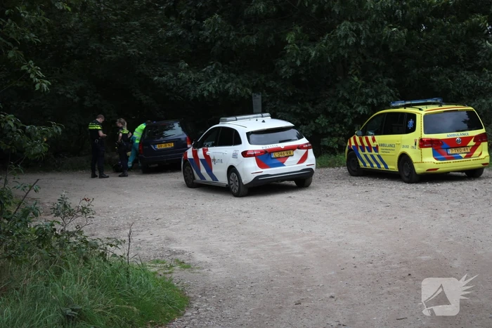 Bestuurder onder invloed botst op boomstronk