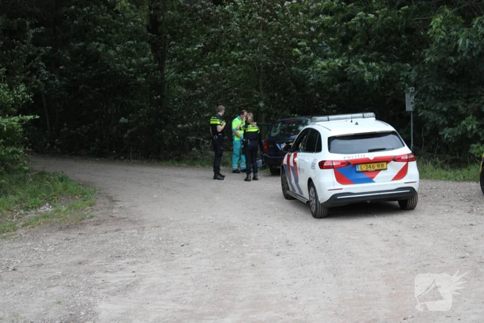 Bestuurder onder invloed botst op boomstronk
