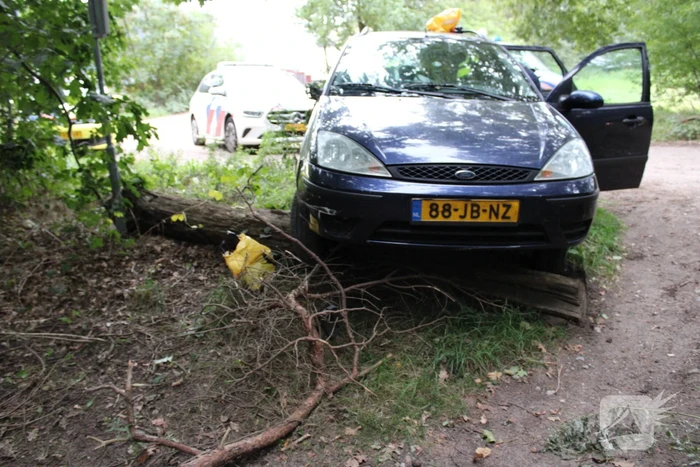 Bestuurder onder invloed botst op boomstronk