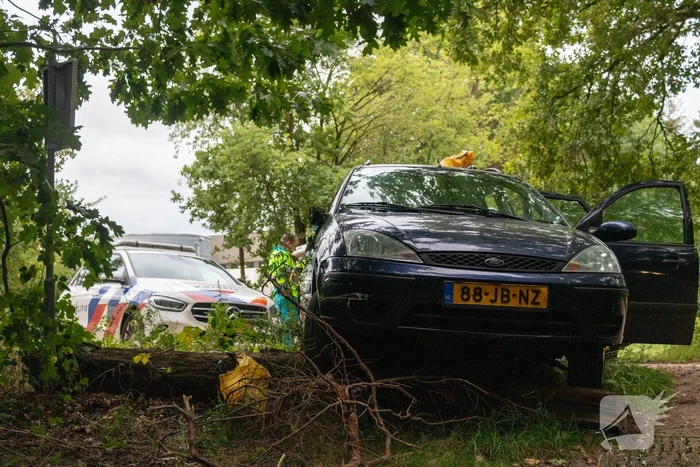 Bestuurder onder invloed botst op boomstronk