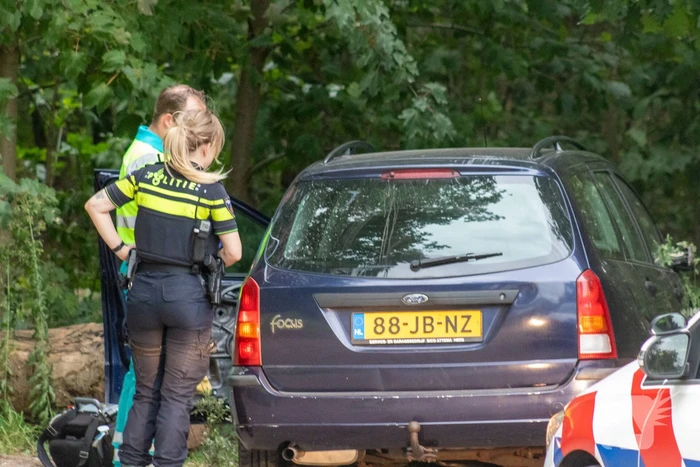 Bestuurder onder invloed botst op boomstronk