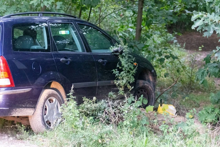 Bestuurder onder invloed botst op boomstronk