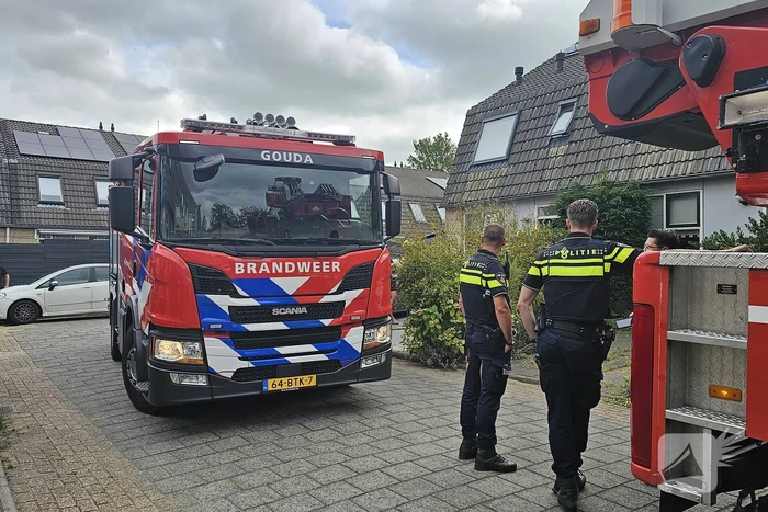 Halogeenlamp veroorzaakt brand