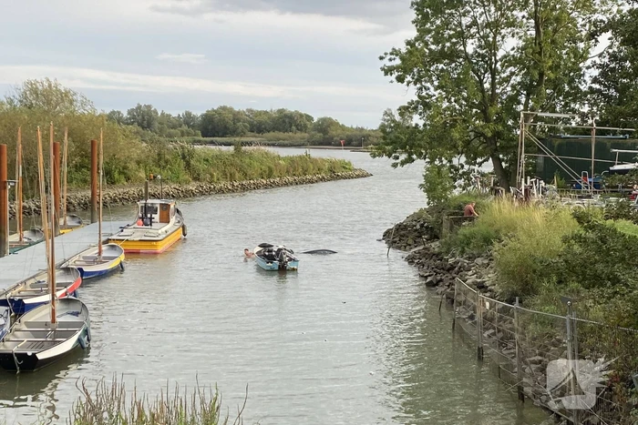 Auto en trailer verdwijnen volledig onder water
