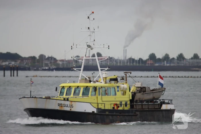 Grote zoekactie naar te water geraakte persoon