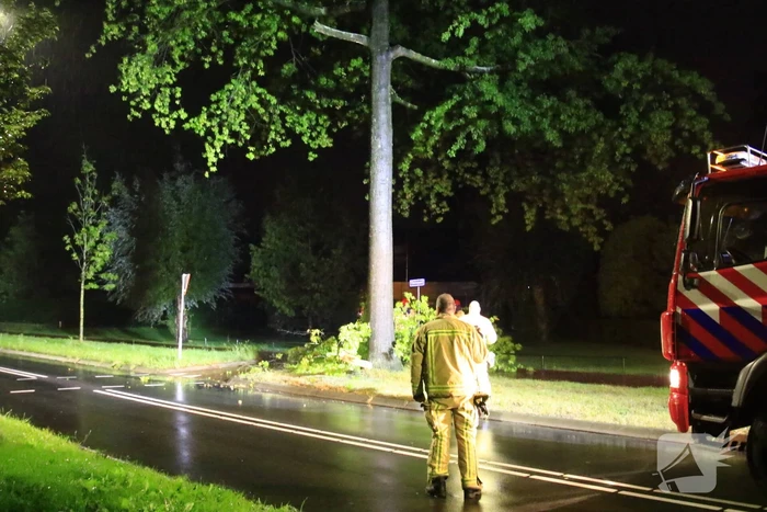 Brandweer verwijdert grote tak