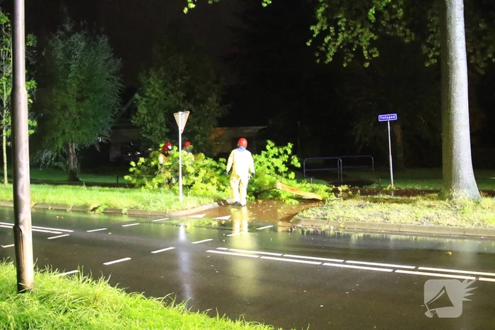 Brandweer verwijdert grote tak
