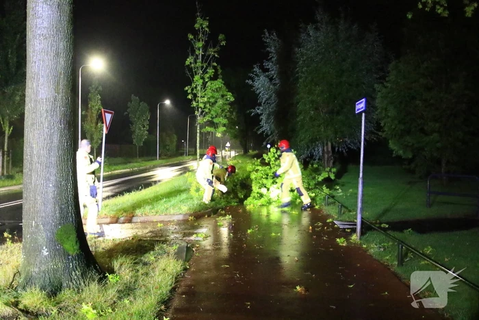 Brandweer verwijdert grote tak