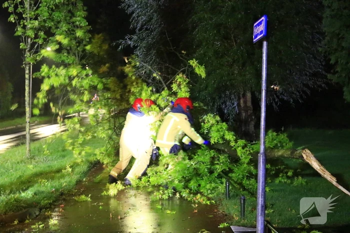 Brandweer verwijdert grote tak