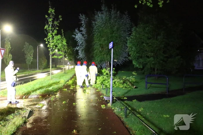 Brandweer verwijdert grote tak