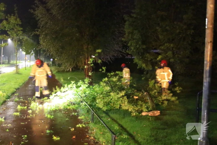 Brandweer verwijdert grote tak