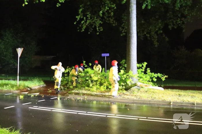 Brandweer verwijdert grote tak