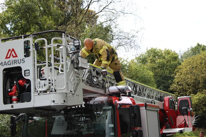 Brandweer haalt met moeite kat uit boom