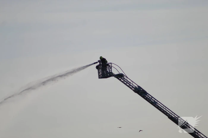 Grote brand in loods met droogbloemen