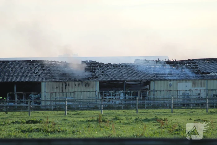 Grote brand in loods met droogbloemen
