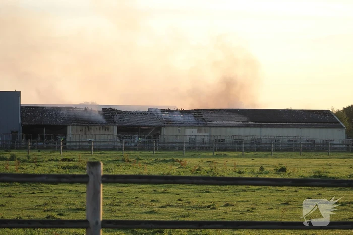 Grote brand in loods met droogbloemen