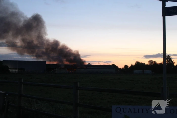 Grote brand in loods met droogbloemen