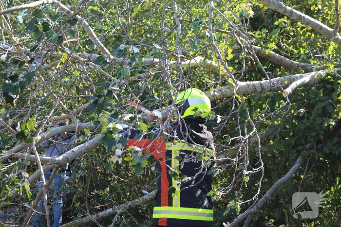 Tak breekt af en valt over weg