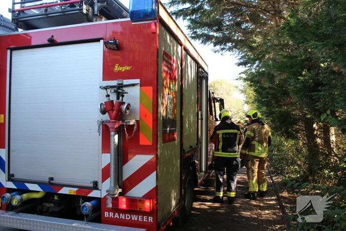 Tak breekt af en valt over weg