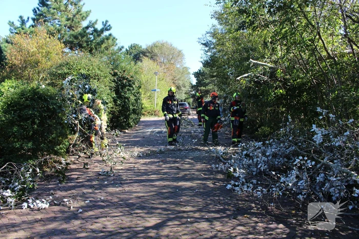 Tak breekt af en valt over weg