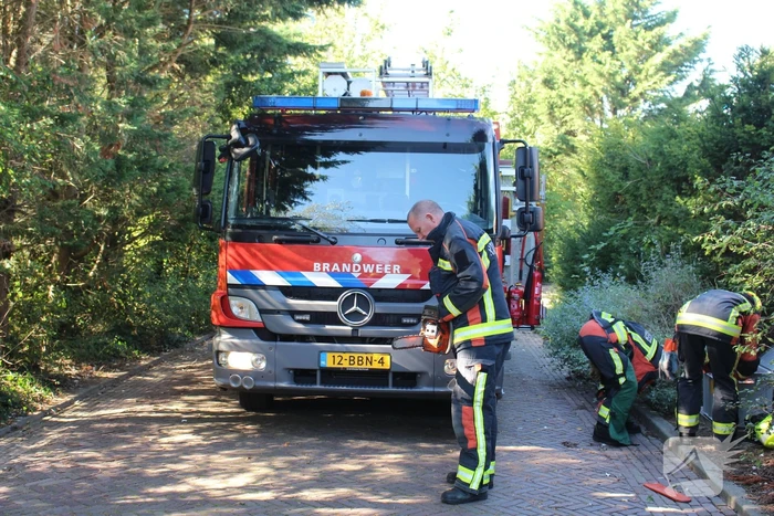 Tak breekt af en valt over weg