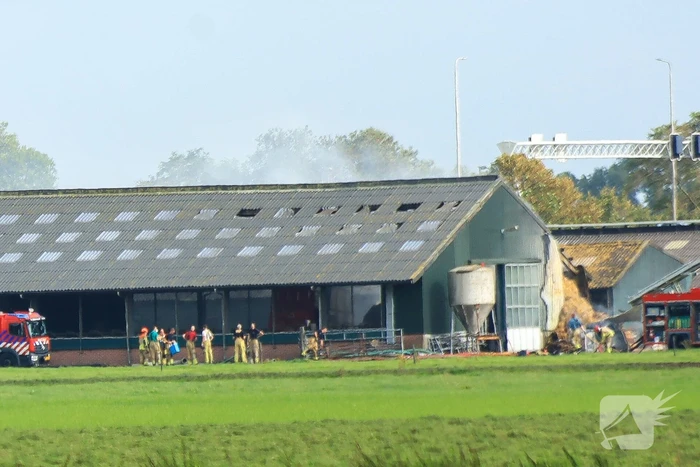 Grote brand in koeienstal