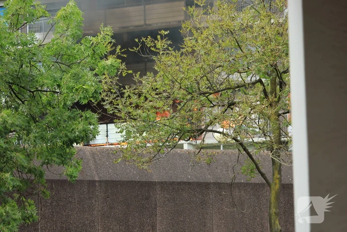 Felle uitslaande brand in flatgebouw