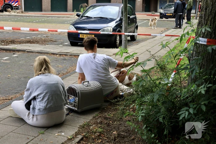 Felle uitslaande brand in flatgebouw